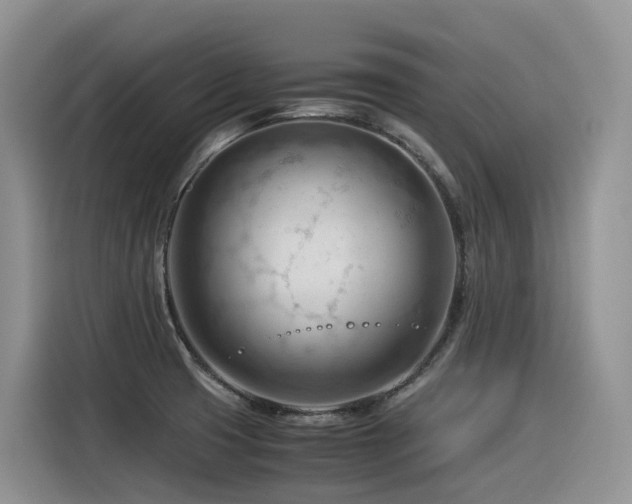 X0000116371425200912021144