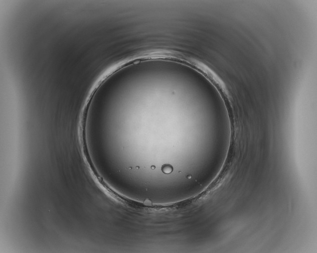 X0000116371429200912021144