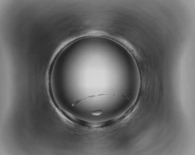 X0000116371430200912021144