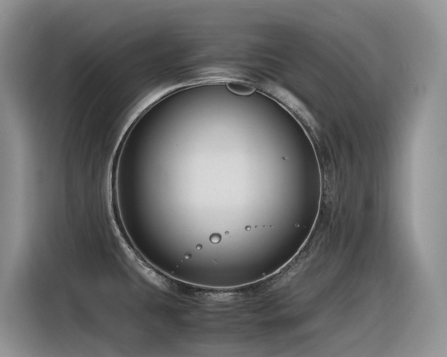 X0000116371431200912021144