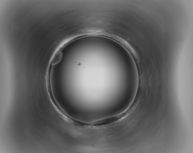 X0000116371432200912021144