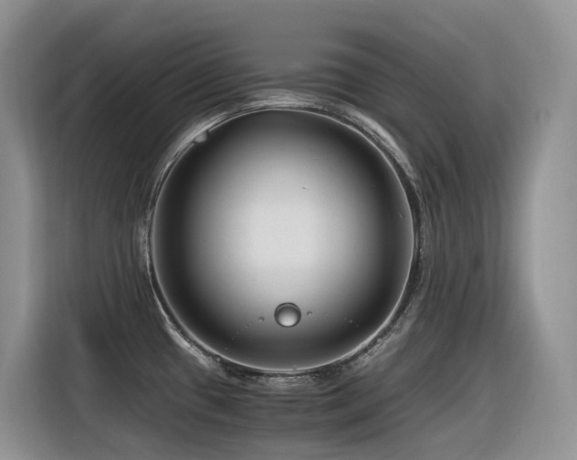 X0000116371433200912021144