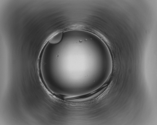 X0000116371434200912021144