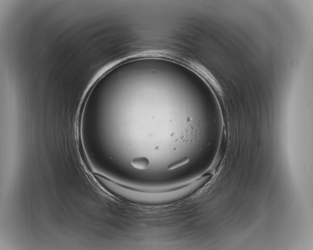 X0000116371436200912021144