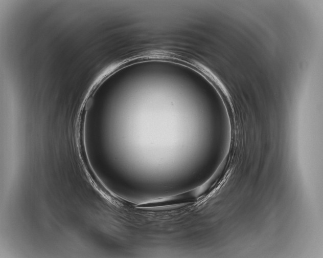X0000116371437200912021144
