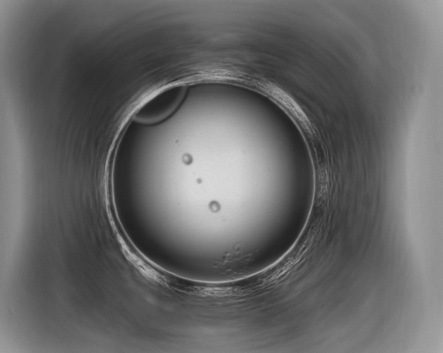 X0000116371439200912021144
