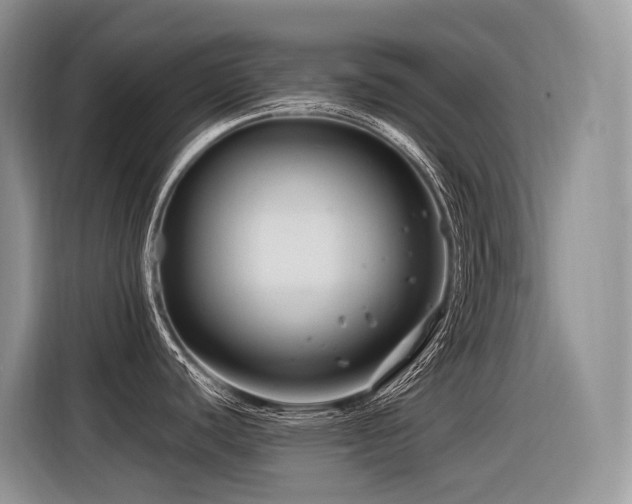 X0000116371440200912021144