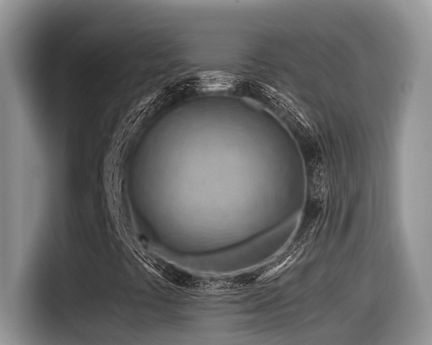 X0000116371441200912021144