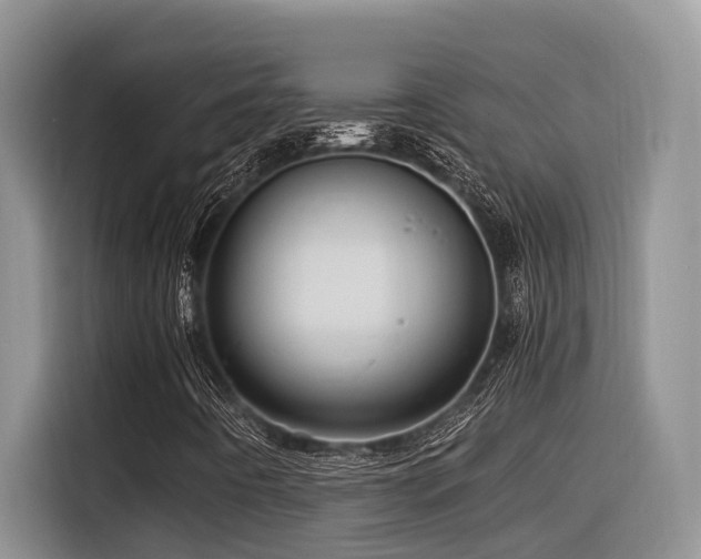 X0000116371442200912021144