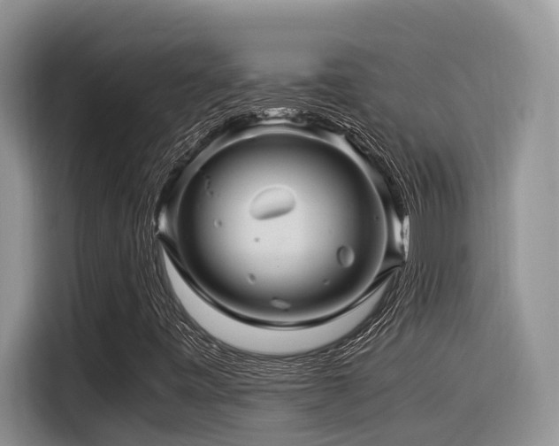 X0000116371443200912021144