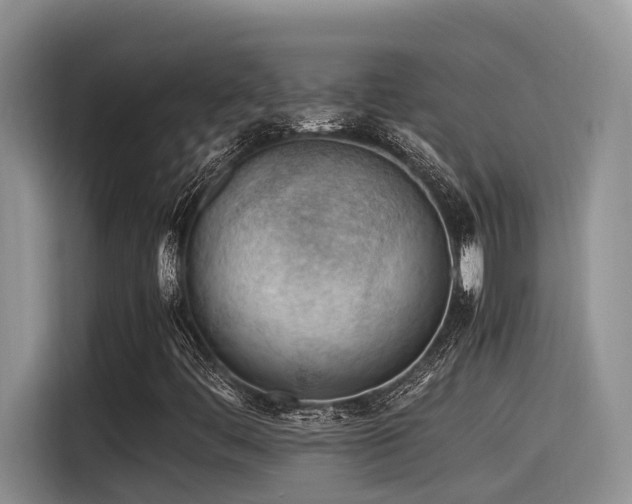 X0000116371444200912021144