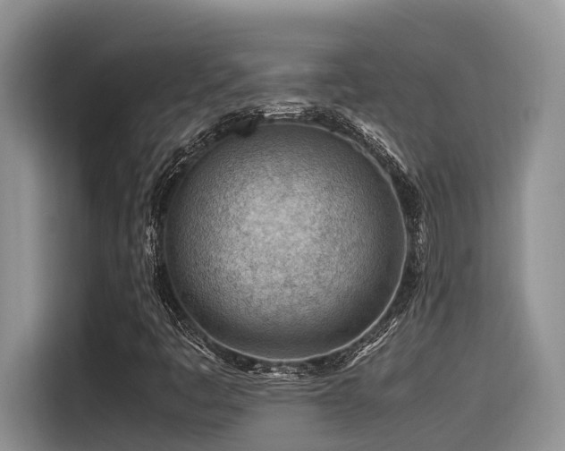 X0000116371445200912021144