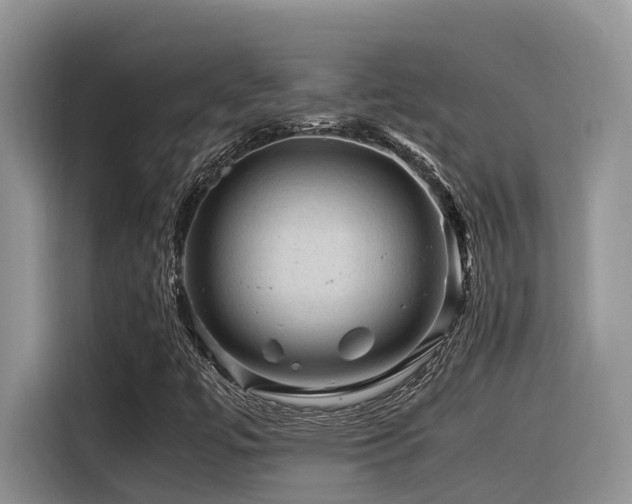X0000116371447200912021144