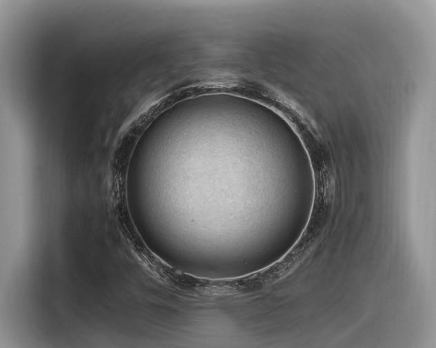 X0000116371448200912021144