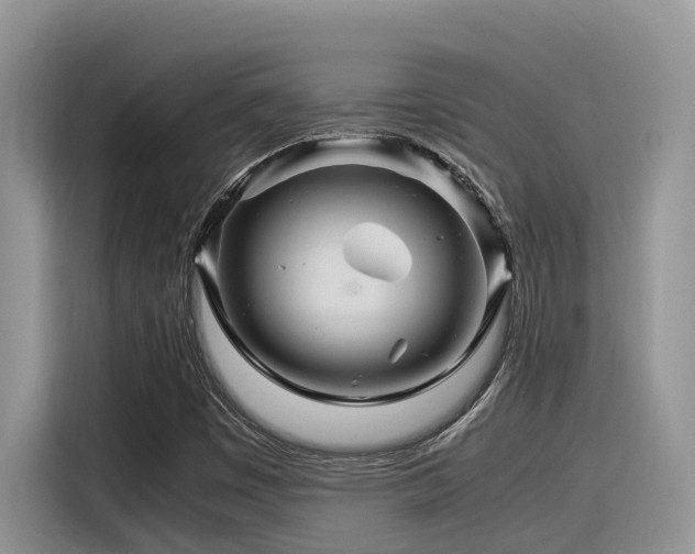 X0000116371449200912021144