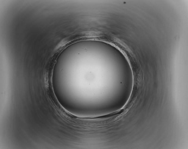 X0000116371451200912021144