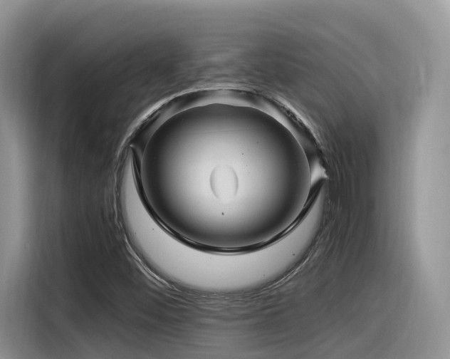 X0000116371452200912021144