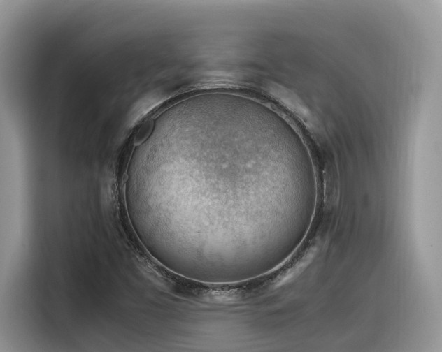 X0000116371453200912021144