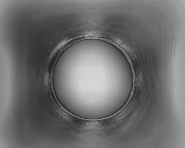 X0000116371454200912021144