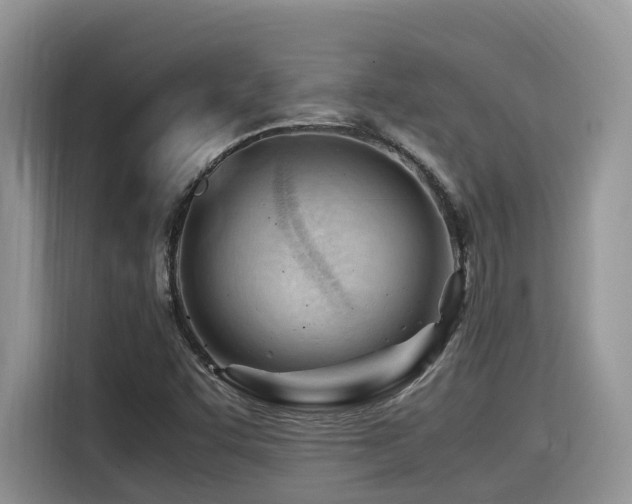 X0000116371455200912021144