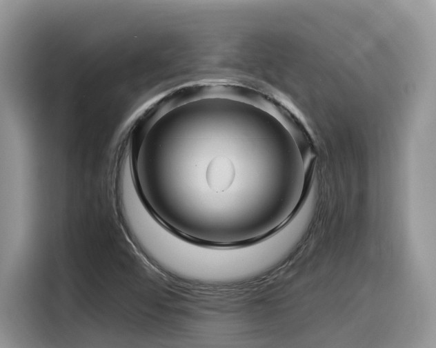 X0000116371456200912021144