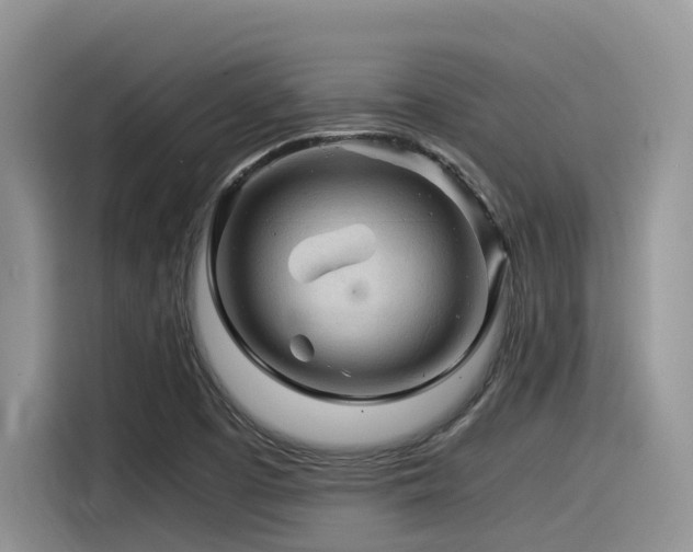 X0000116371457200912021144