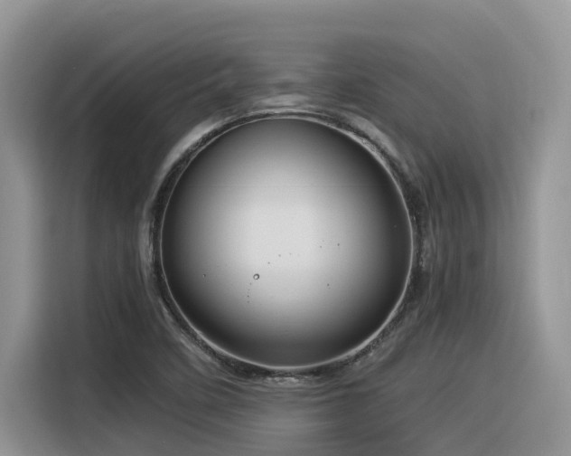 X0000116371458200912021144