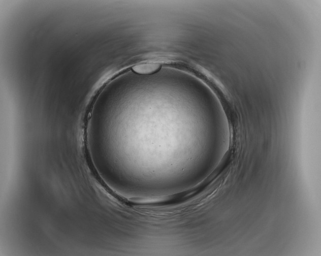 X0000116371459200912021144