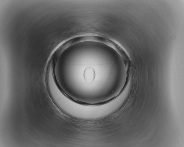 X0000116371460200912021144