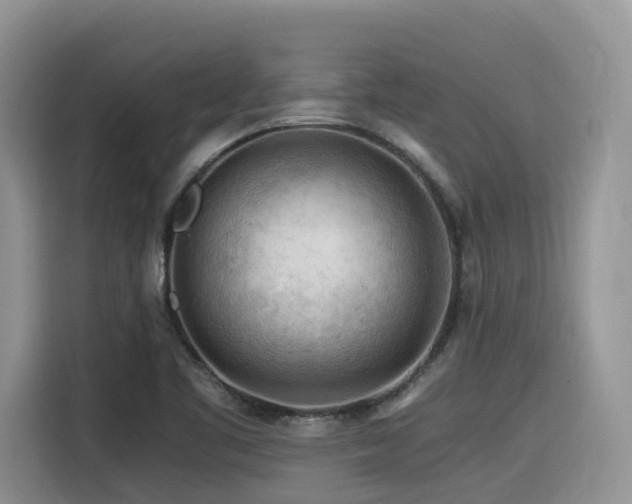 X0000116371461200912021144