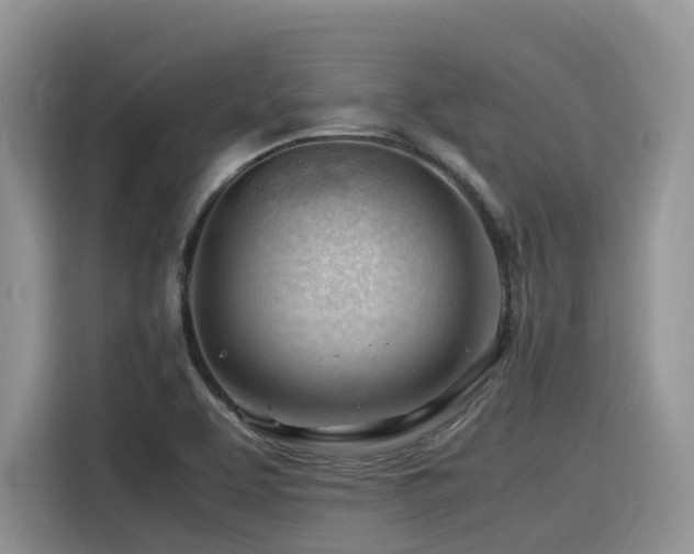 X0000116371463200912021144