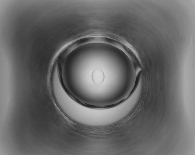 X0000116371464200912021144
