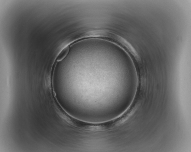 X0000116371465200912021144