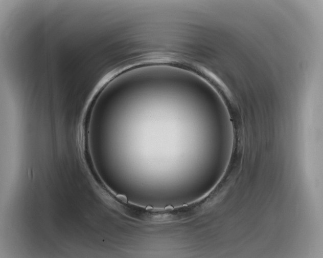 X0000116371467200912021144