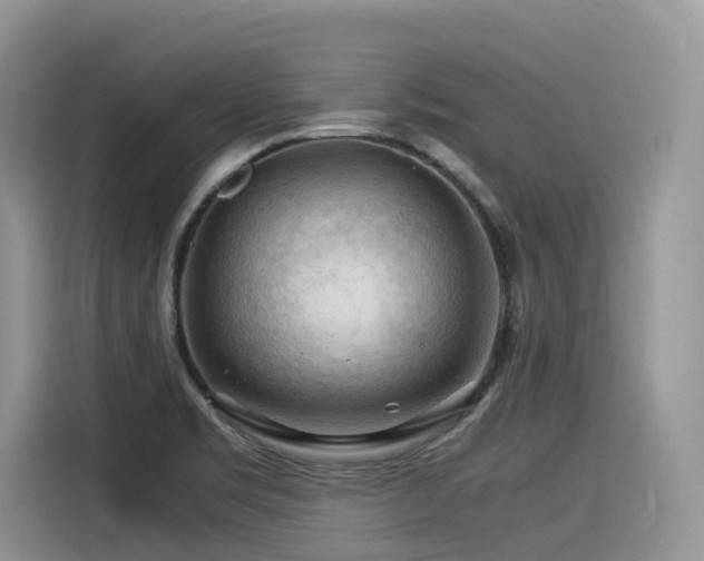 X0000116371469200912021143