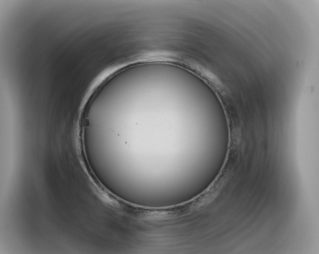 X0000116371470200912021143