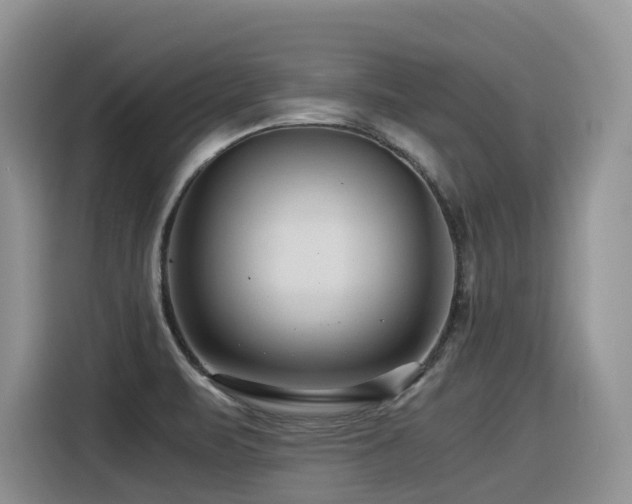 X0000116371471200912021143