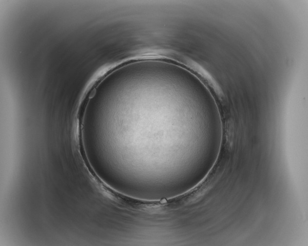 X0000116371472200912021143