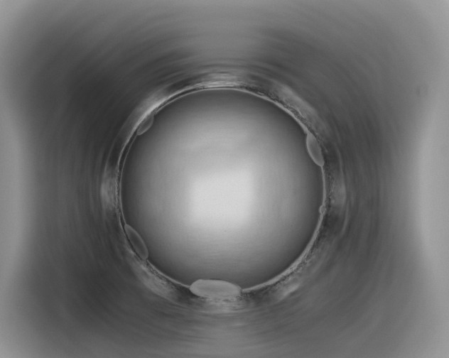 X0000116371473200912021143