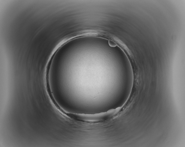 X0000116371475200912021143