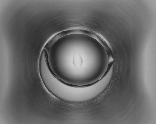 X0000116371476200912021143