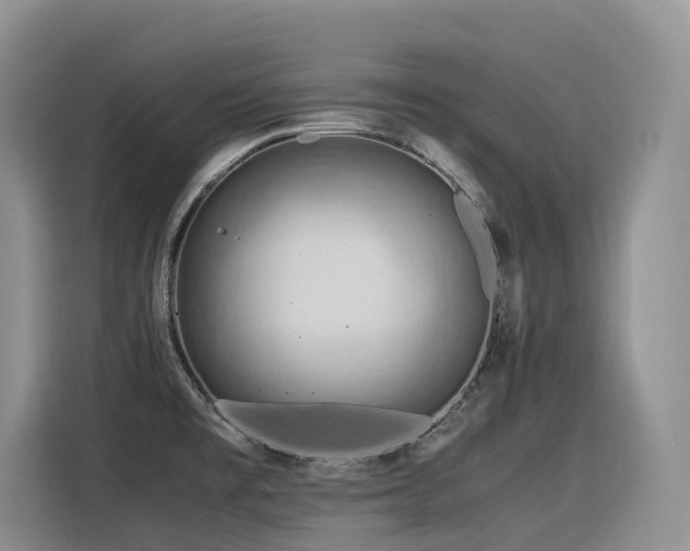 X0000116371477200912021143