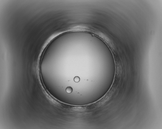 X0000116371478200912021143