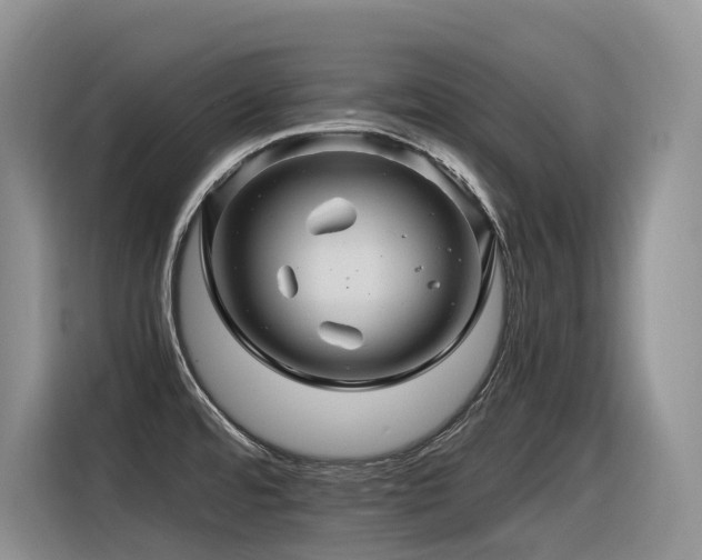 X0000116371480200912021143
