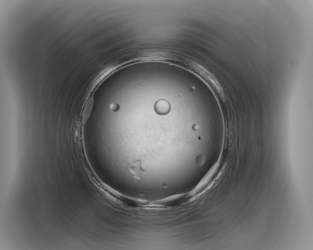 X0000116371481200912021143