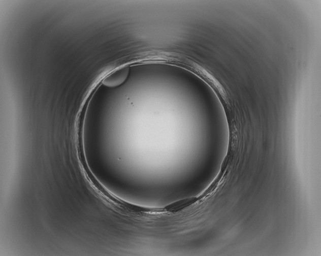 X0000116371483200912021143