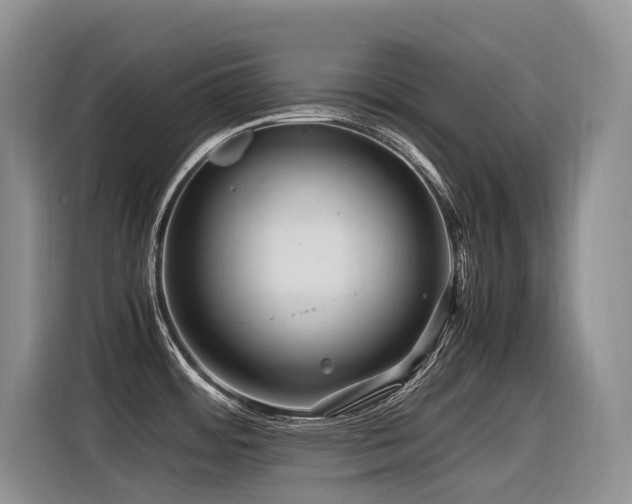 X0000116371484200912021143