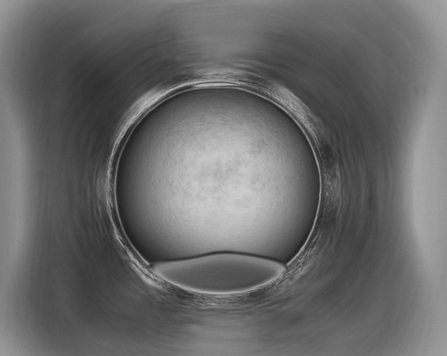 X0000116371485200912021143