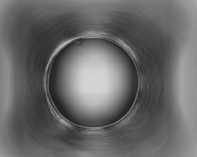 X0000116371486200912021143