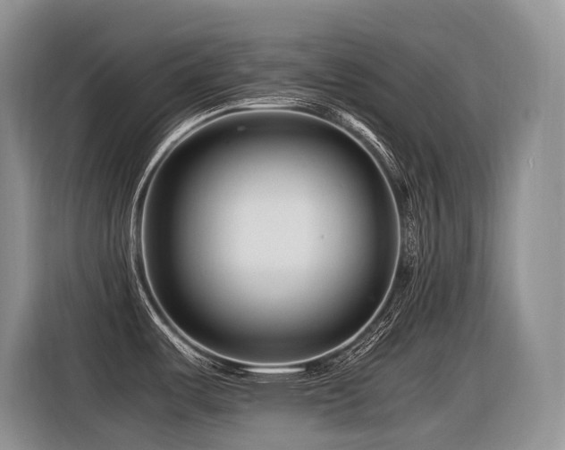 X0000116371487200912021143